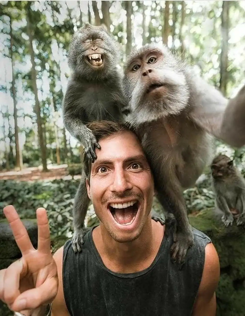 Ubud: Highlight Nature Wildlife, Swing & Waterfall