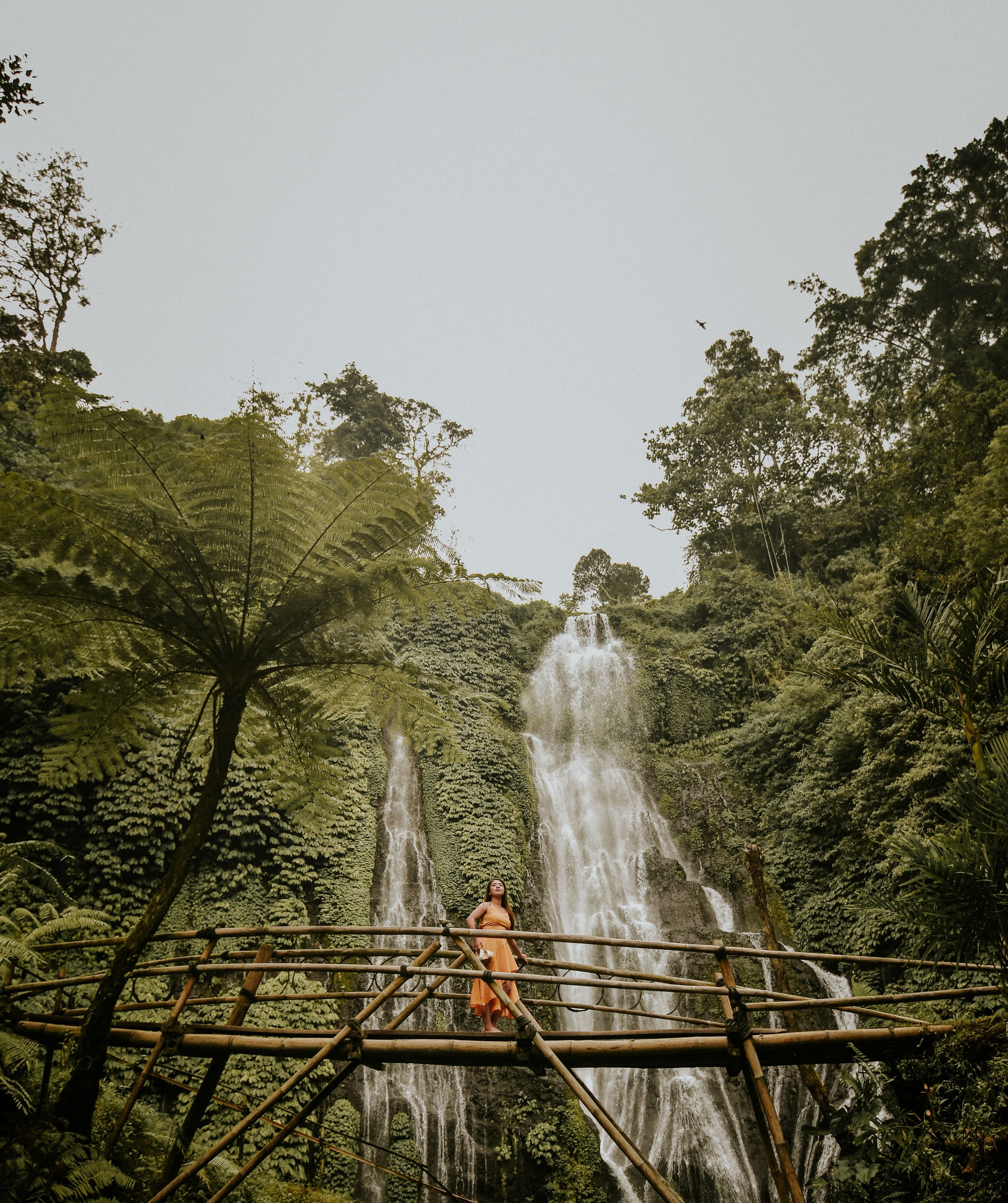 Bali : North Bali Instagramable, Gate, Waterfall, & more Image 1