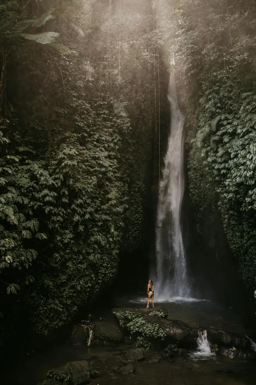 Bali’s Iconic Waterfalls, Rice Terraces Image 2