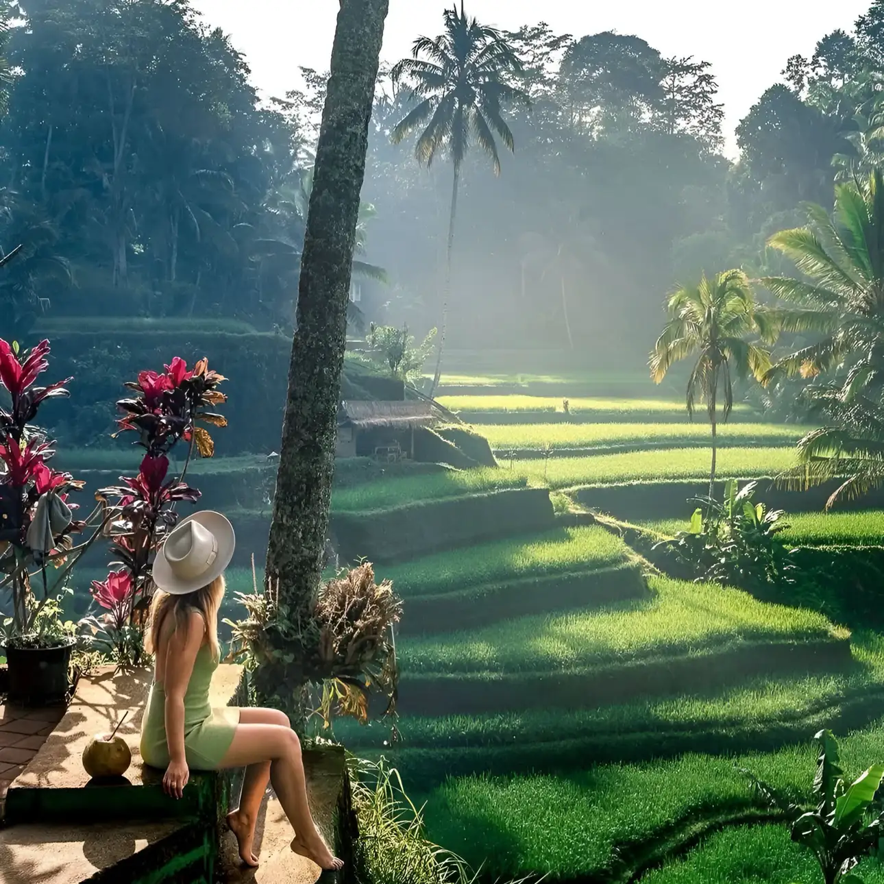 Ubud: Private Tour of Temples, Waterfalls & Rice Terraces Image 7