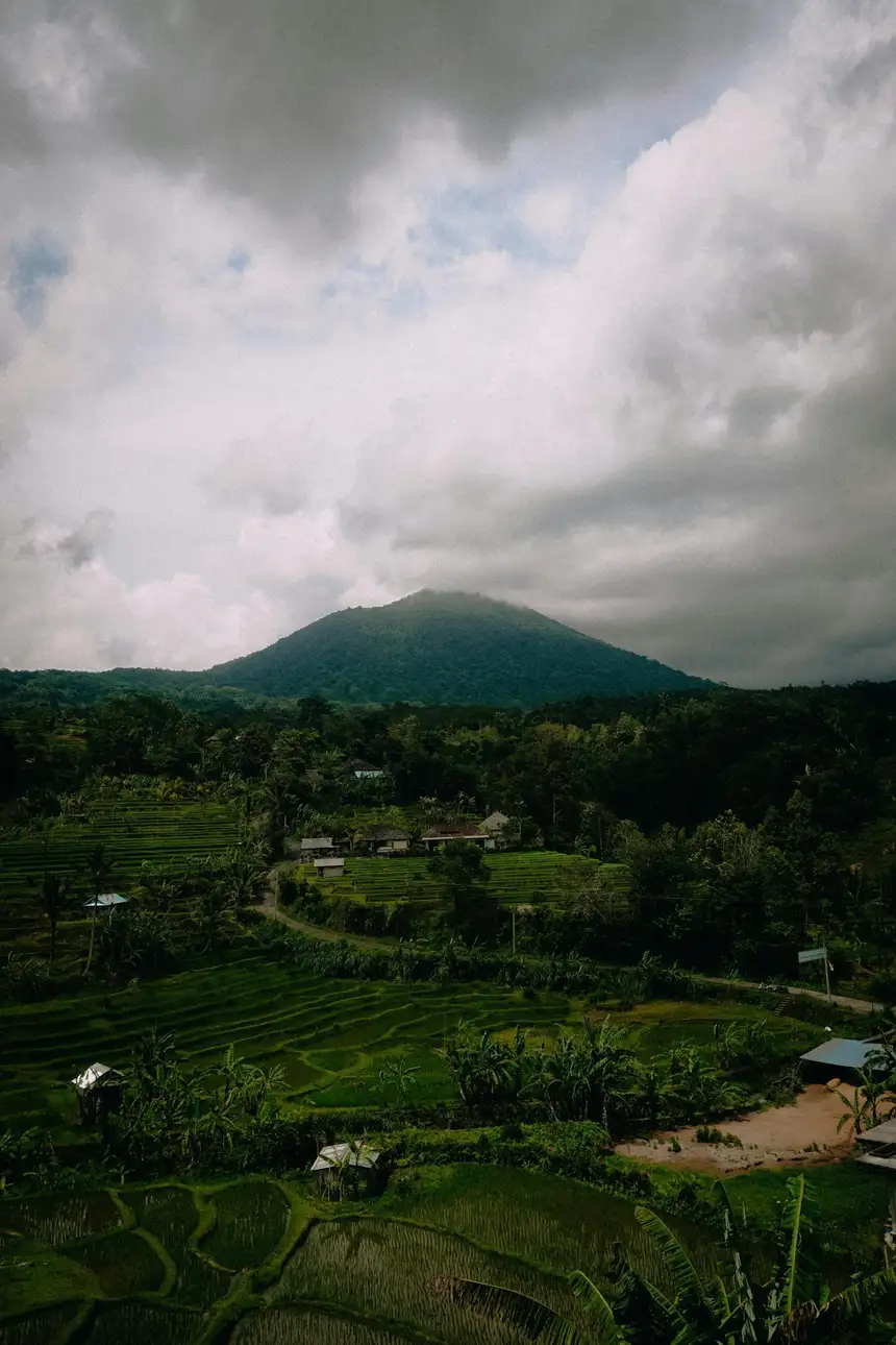 Bali’s Iconic Waterfalls, Rice Terraces Image 7