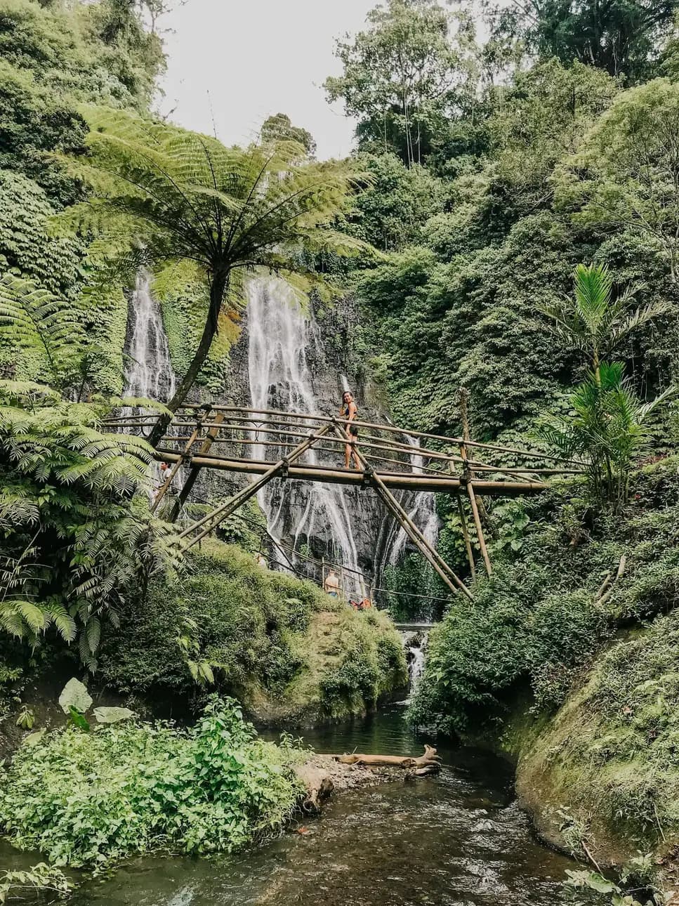 Bali’s Iconic Waterfalls, Rice Terraces Image 3